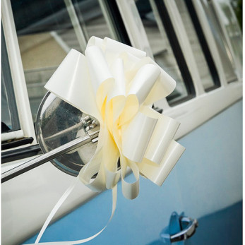 Sarah-Louise+Tim_032