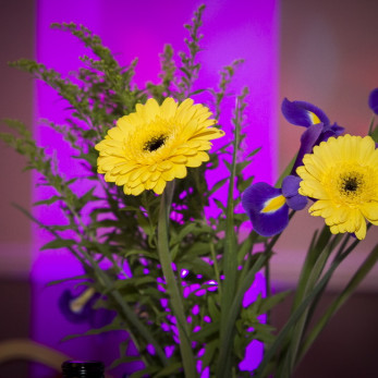 Sarah-Louise+Tim_148