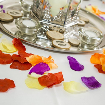 Julie-Aziz_469_IMG_9453