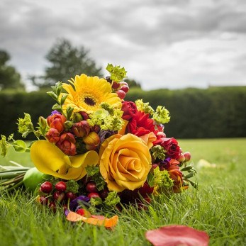 Julie-Aziz_563_IMG_0070