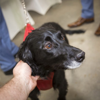 Kate+Memo_391_BWP_2014